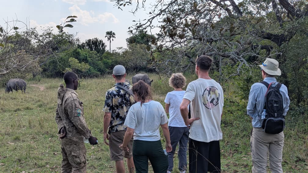 Safari game drive at golden hour